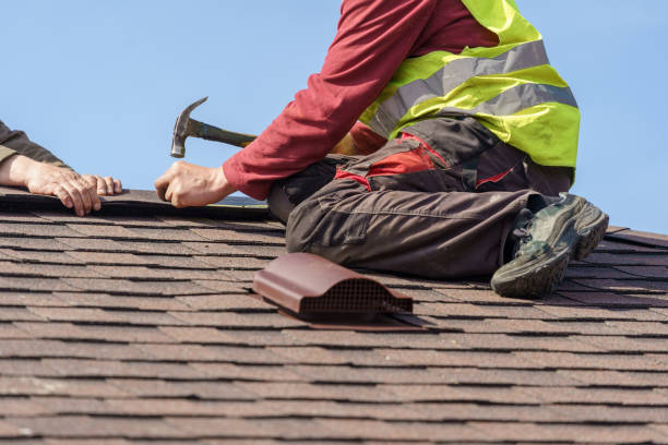 Best Roof Gutter Cleaning  in Oak View, CA