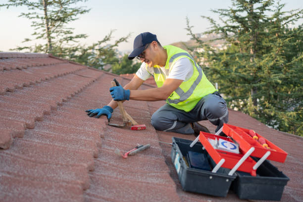 Roof Repair Estimates in Oak View, CA